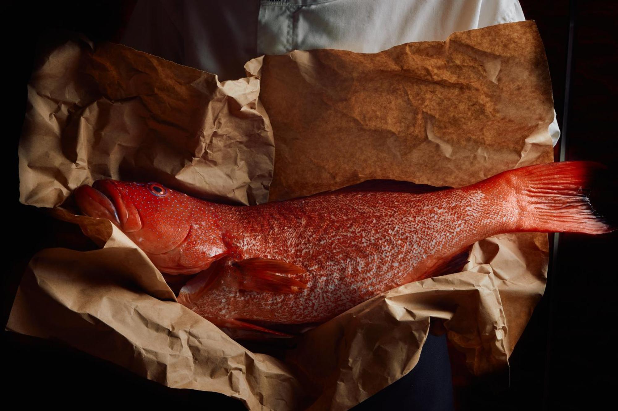Park Hyatt Melbourne Hotell Eksteriør bilde A smoked turbot